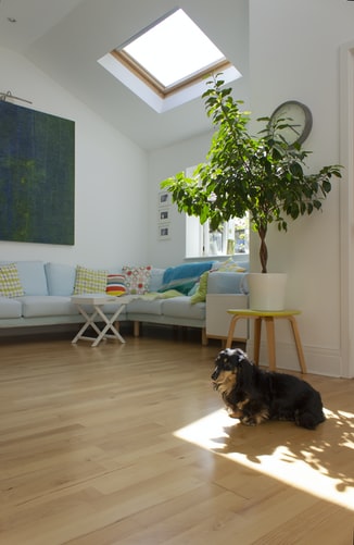 Velux intérieur